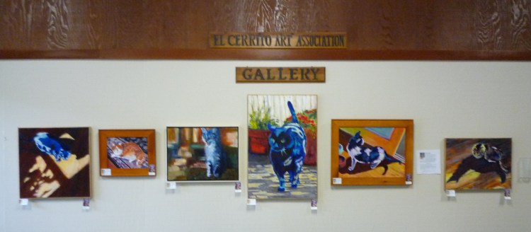 Cats at Community Center